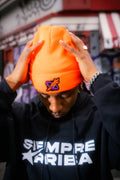 Beanie - Logo Vida Robot